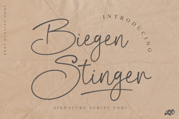Biegen Stinger Script: A Vintage Handwritten Font Review