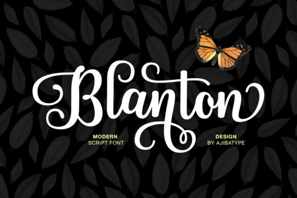 Blanton Script: A Premium Font for Elegant Web Design