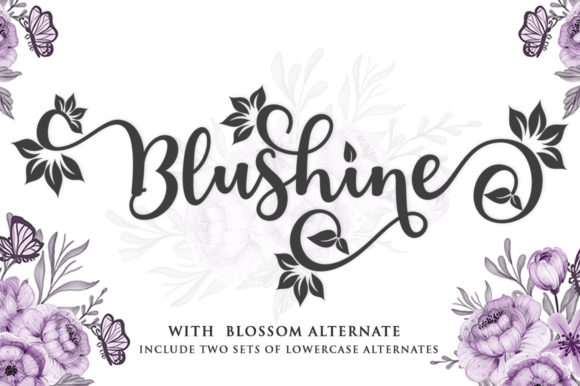Blushine Script: A Premium Handwritten Font Review