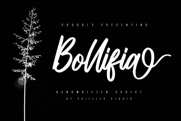 Bollifia Script: A Review of This Elegant Handwritten Font