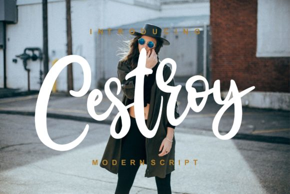 Cestroy Script: A Timeless Font for Business Branding
