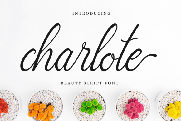 Charlote Script: A Delicate Typeface for Web Design