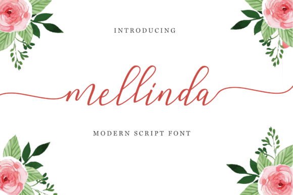 Mellinda Script: A Premium Typeface for Campaigns