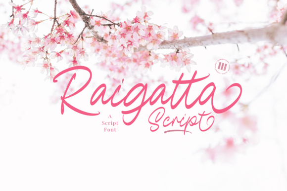 Raigatta Script: A Premium Handwritten Font for Web Design