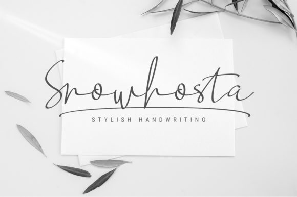 Snowhosta Script: A Marketer’s Review for Campaigns